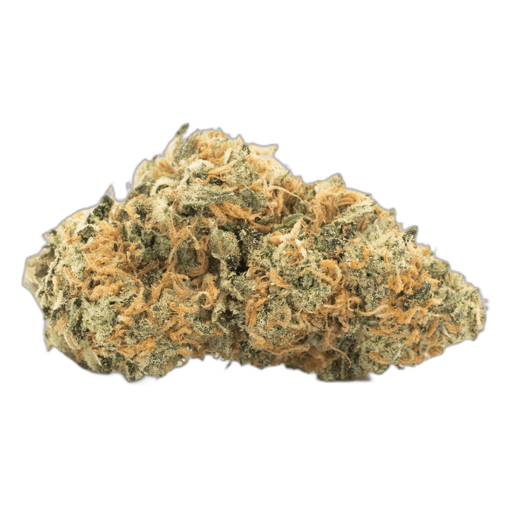 Orange Cookies