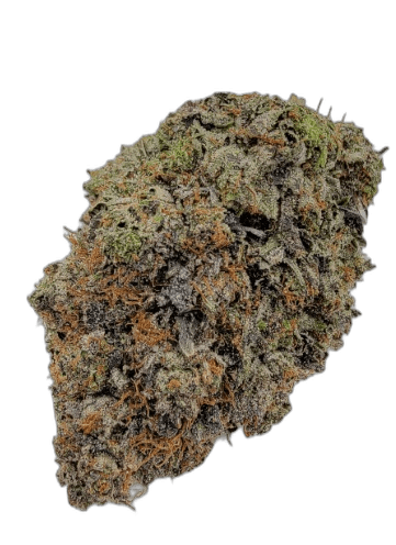 A Little Bud vs GasDank: An Honest Comparison