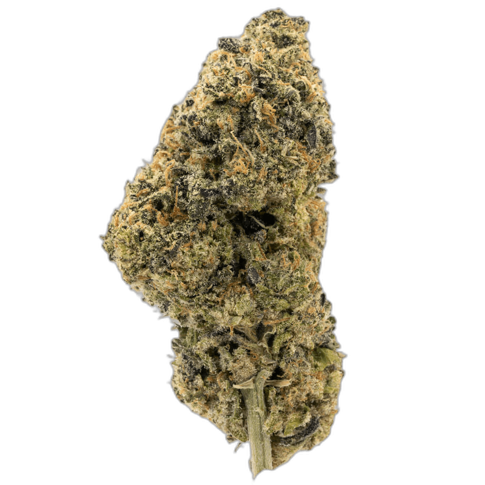 Purple Cheese