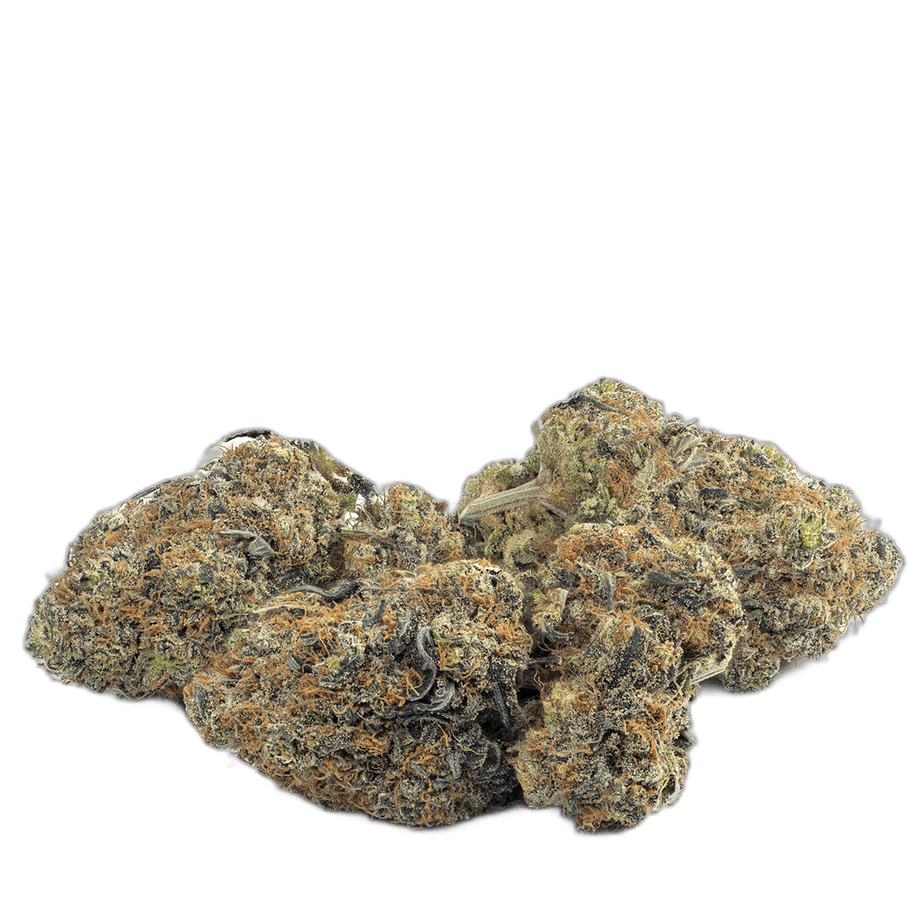 Purple Haze Multi