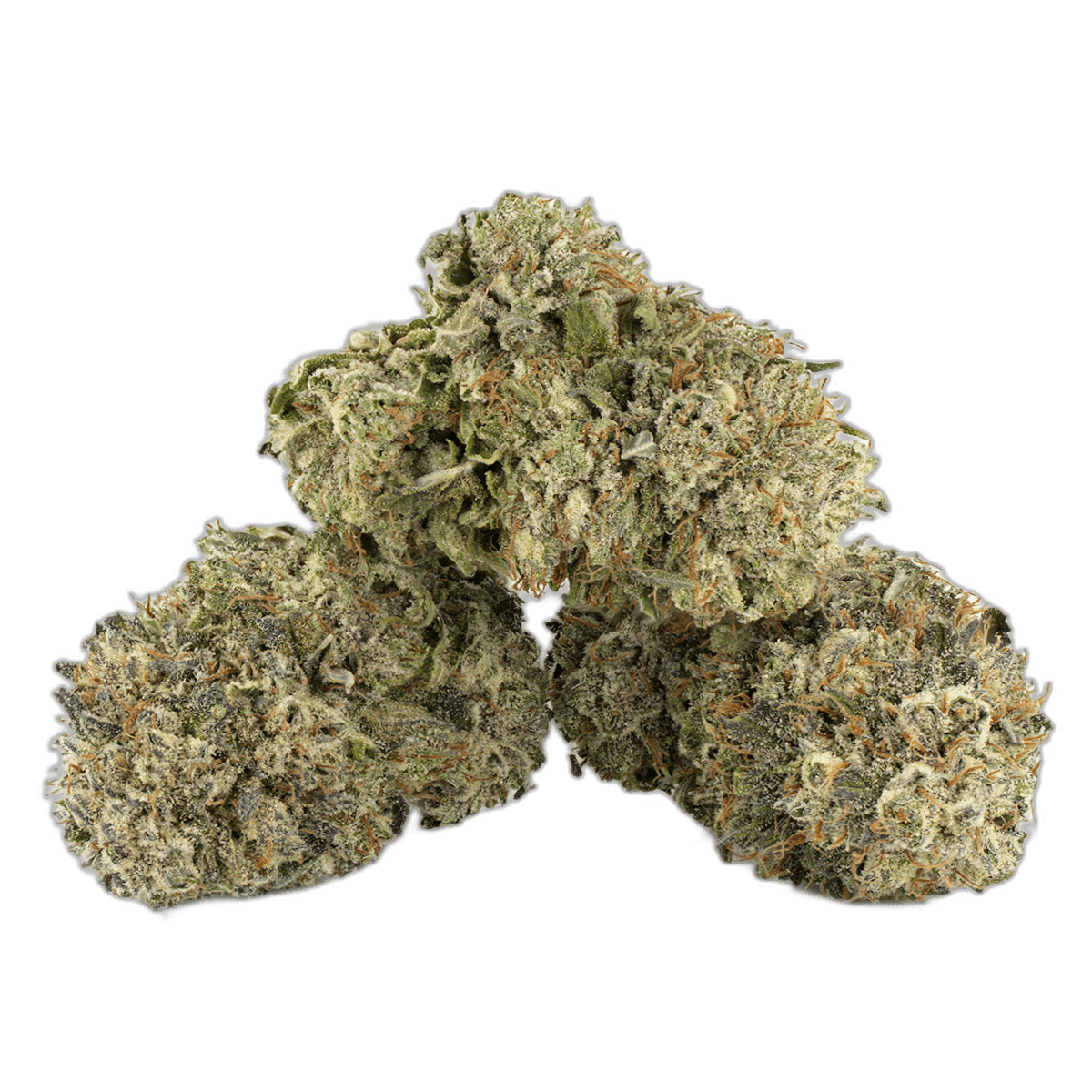 Purple Kush Multi Shot