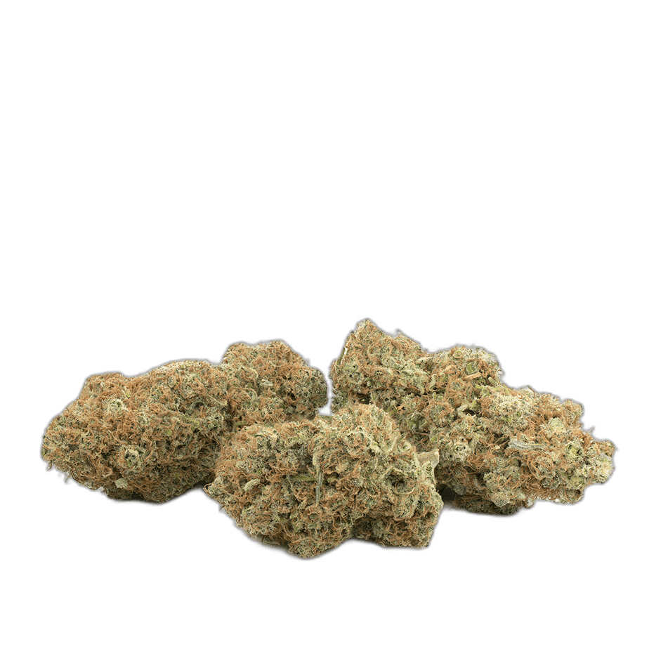Red Lemon Congo Multi