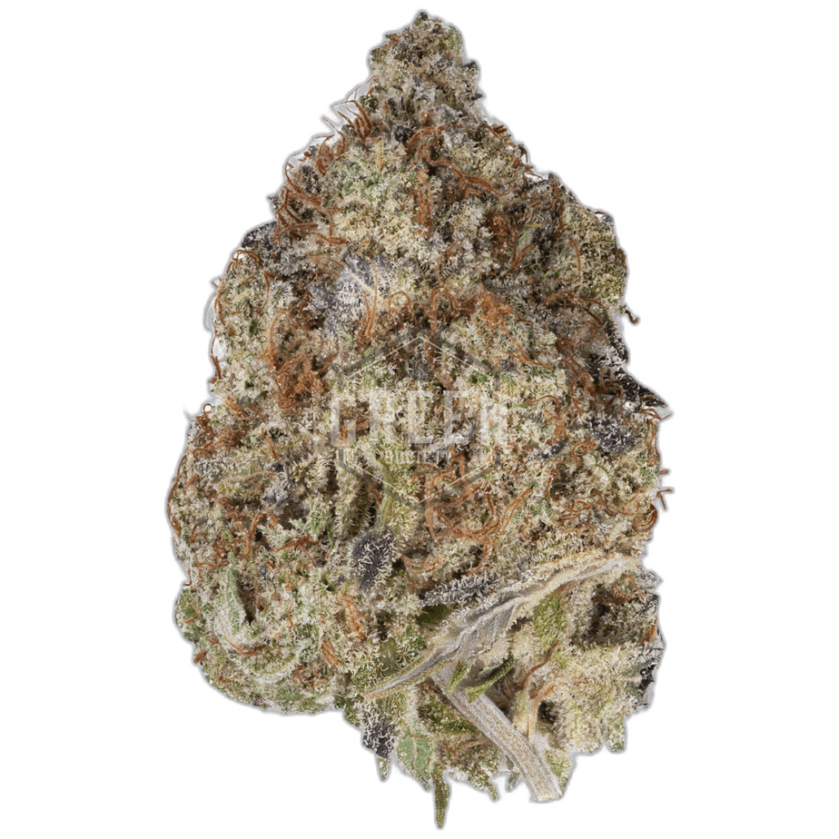 Russian Rocket Fuel by Short Stuff Seedbank