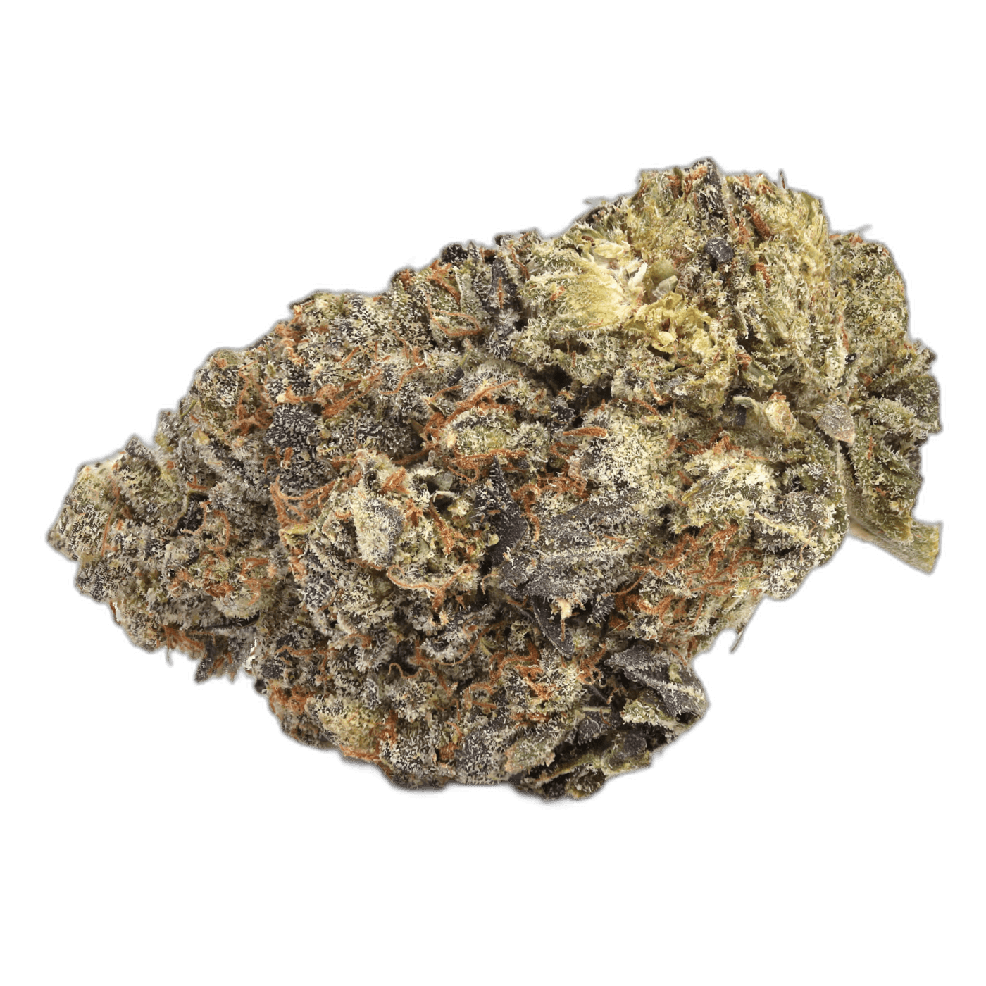 Space Queen Strain scaled