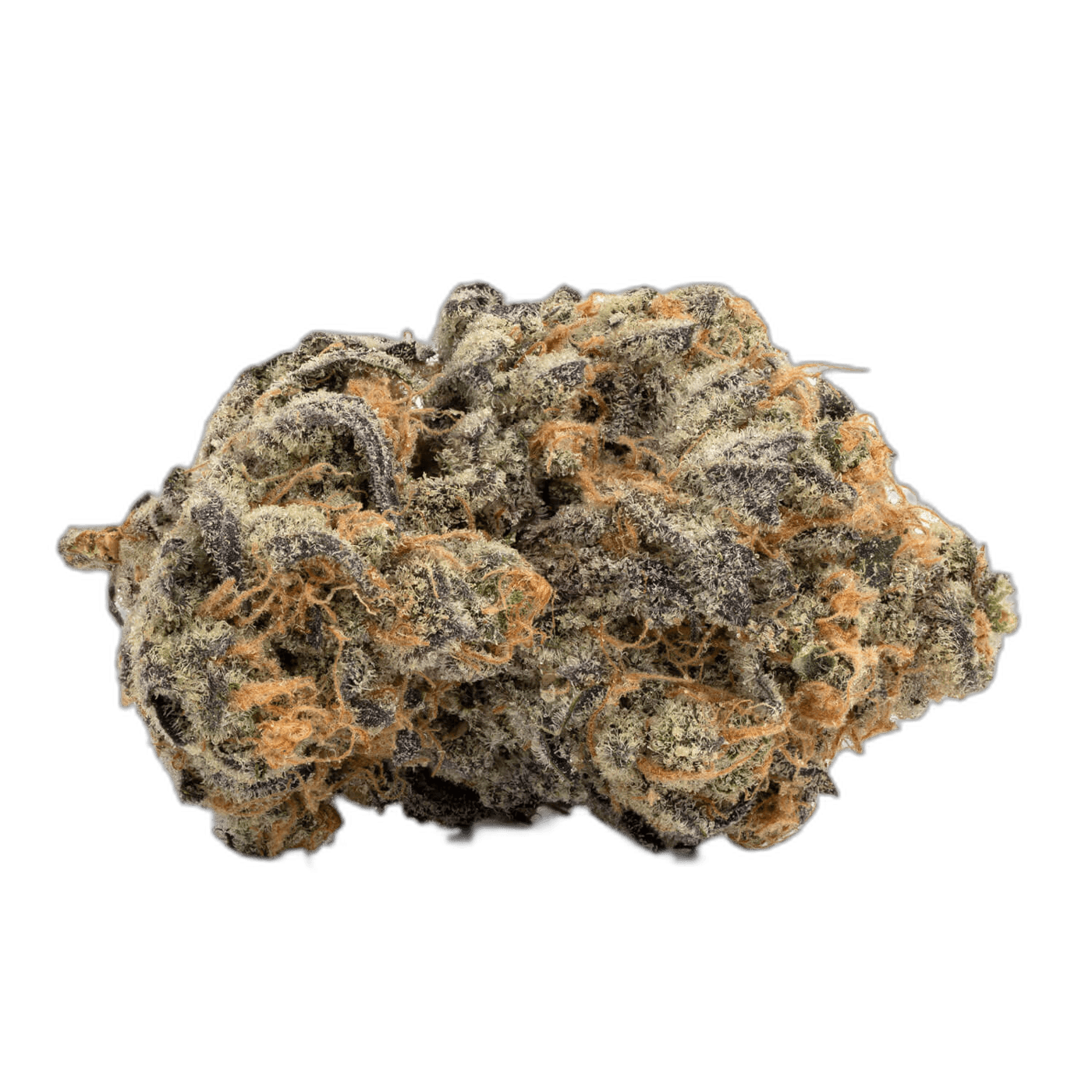 Sweet Tooth 2