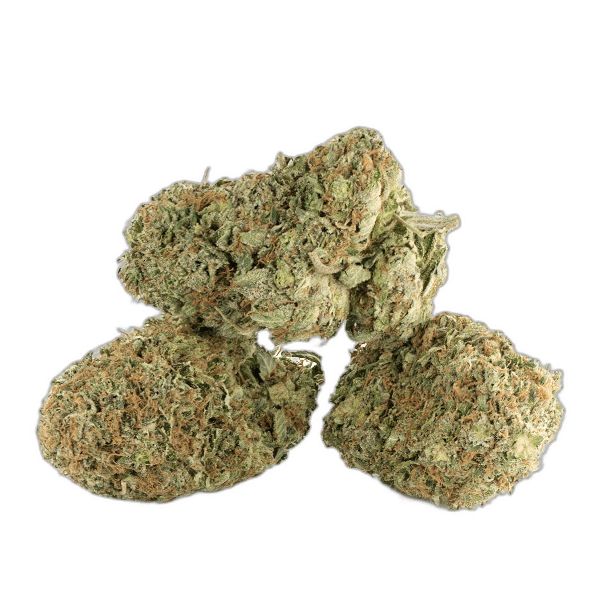 Tahoe OG Kush Strain Multi Shot