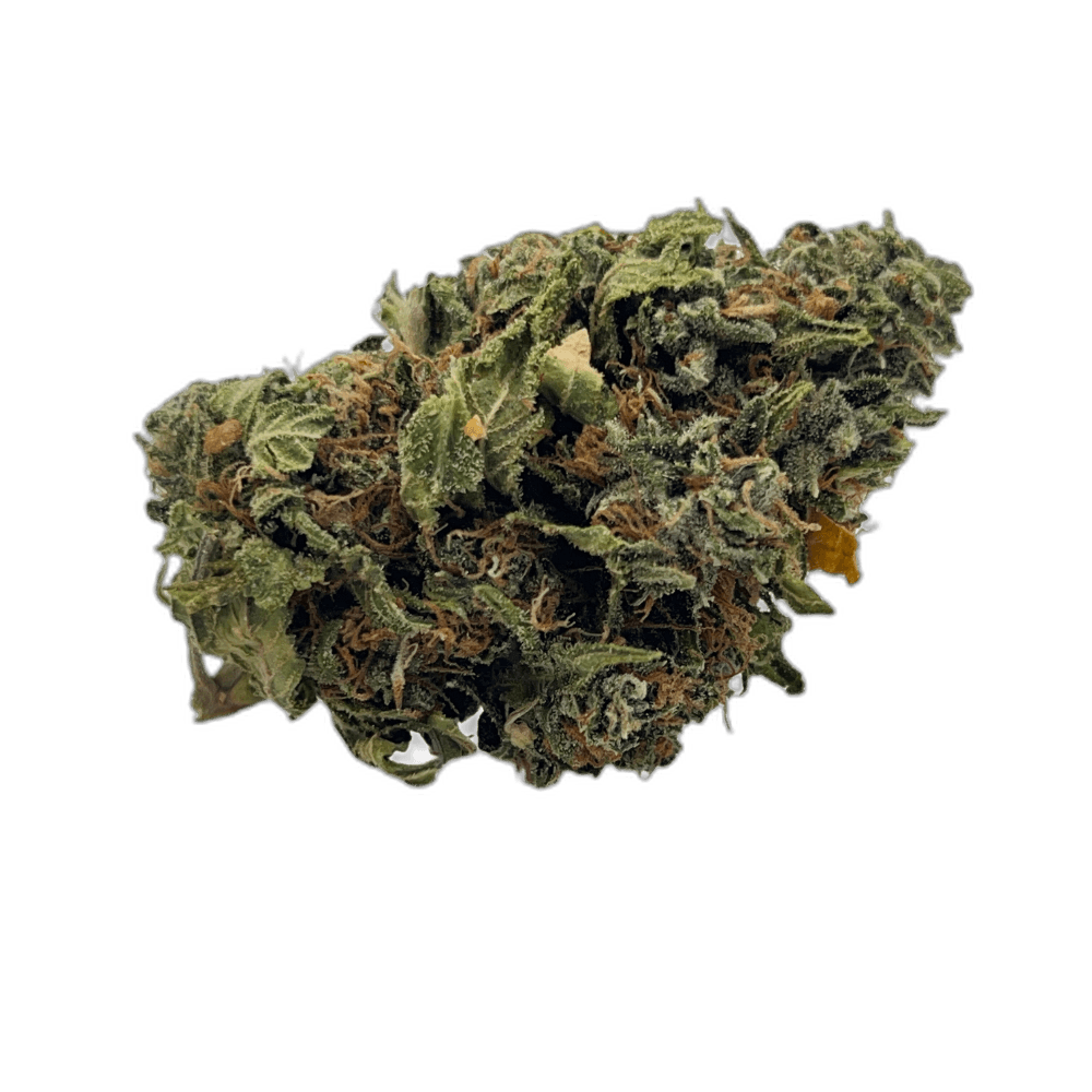 Tahoe ogg