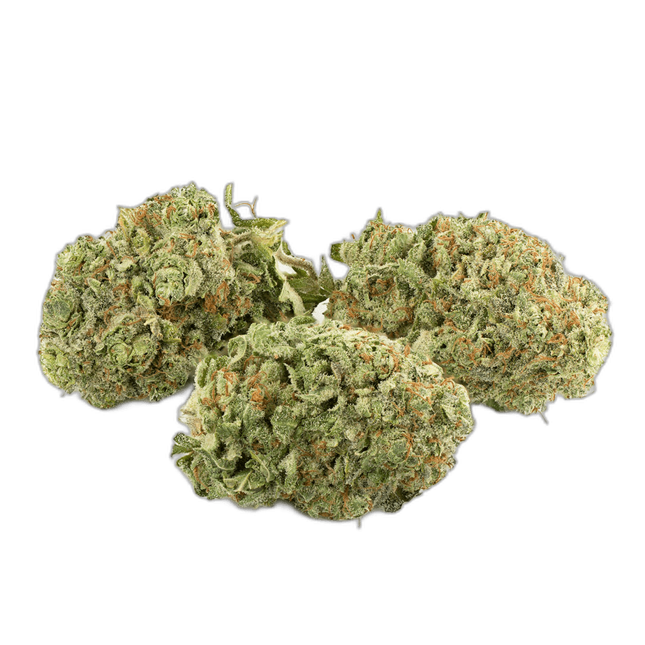 Triangle Mints Multi Shot