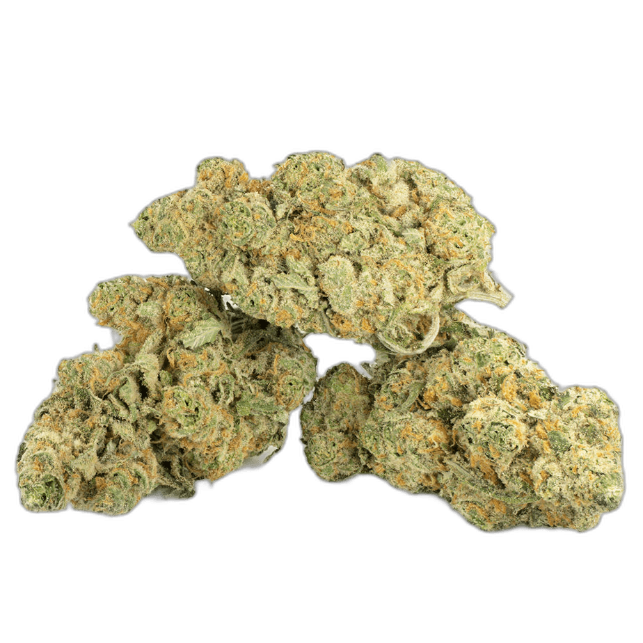 UK Cheese Multi Shot