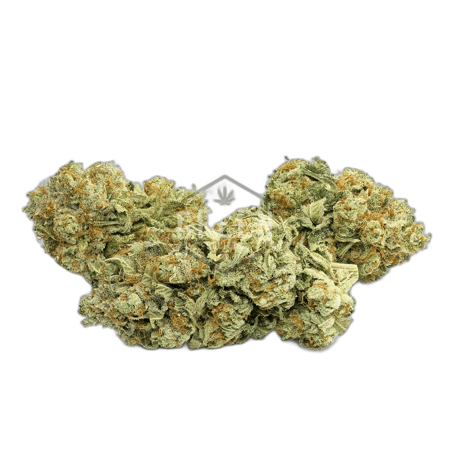 White Widow