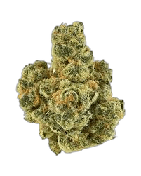 platinum punch