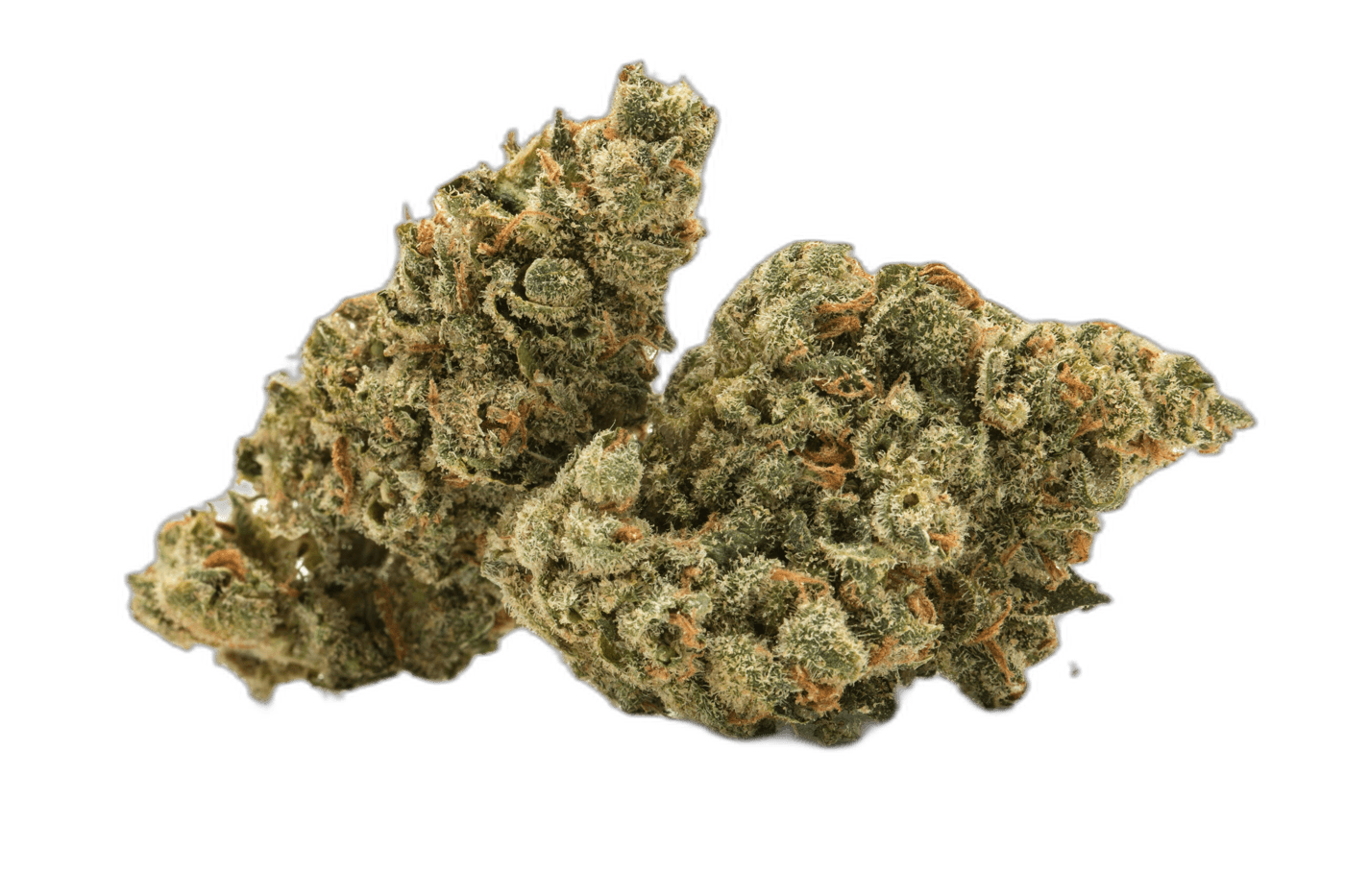 Apple Jack