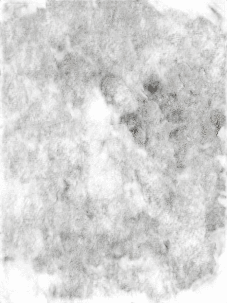 IMAGE 2024 12 21 12:52:43