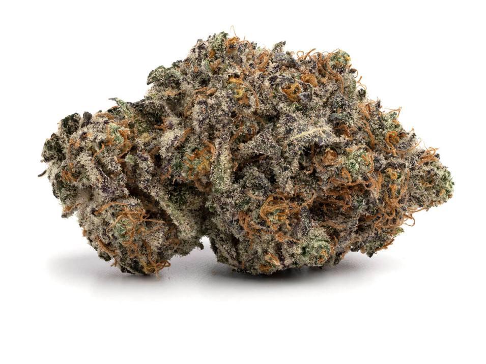 Chem Dog Hybrid: An In Depth Look at a Legendary Strain
