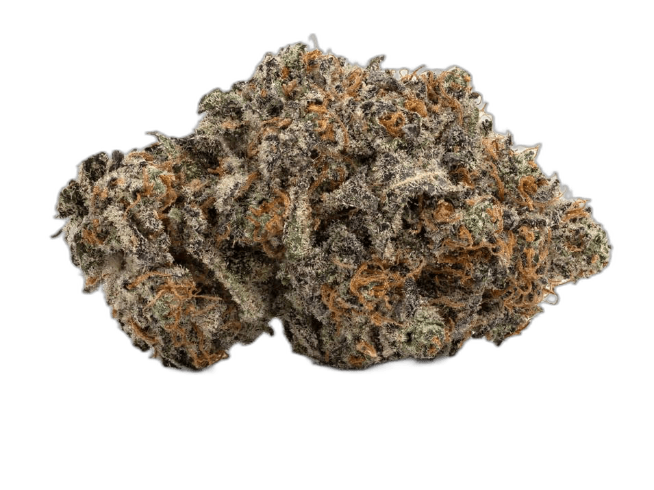 Gelonade Hybrid: A Sweet and Citrusy Strain Review