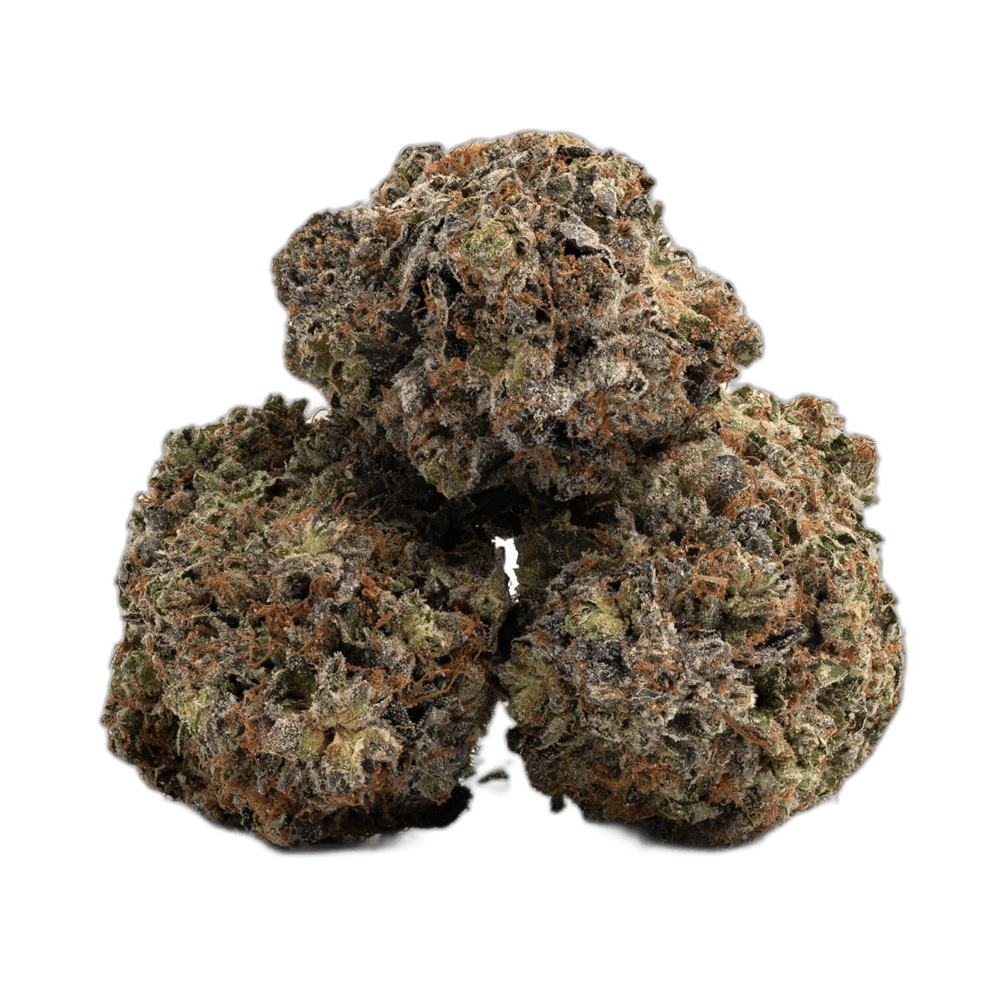 XJ-13 Hybrid: A Cerebral Cannabis Strain Guide