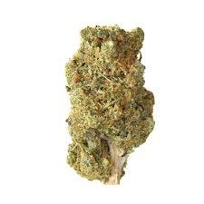 Panama Red Sativa: A Legendary Landrace Cannabis Strain