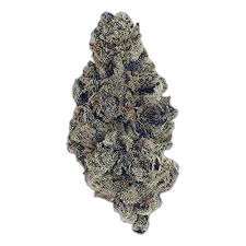 Astro Pink strain