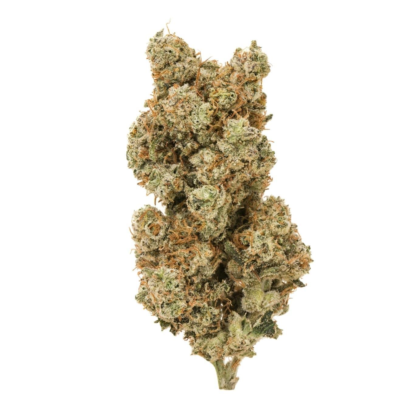 Platinum Girl Scout Cookies: A Luxurious GSC Hybrid