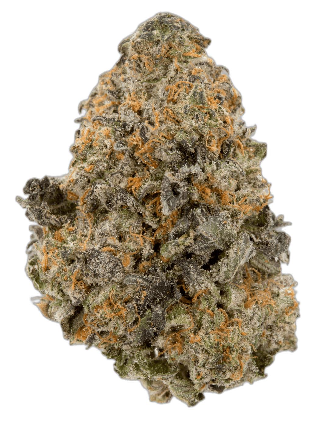 Chronic Hybrid: A Complete Guide to This Legendary Strain
