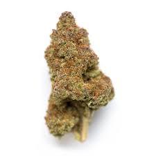 Haze Sativa: The Ultimate Guide to This Uplifting Strain