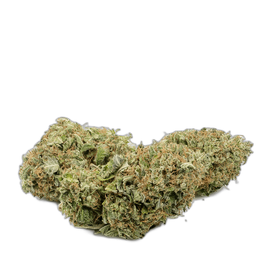 El Jefe Strain New