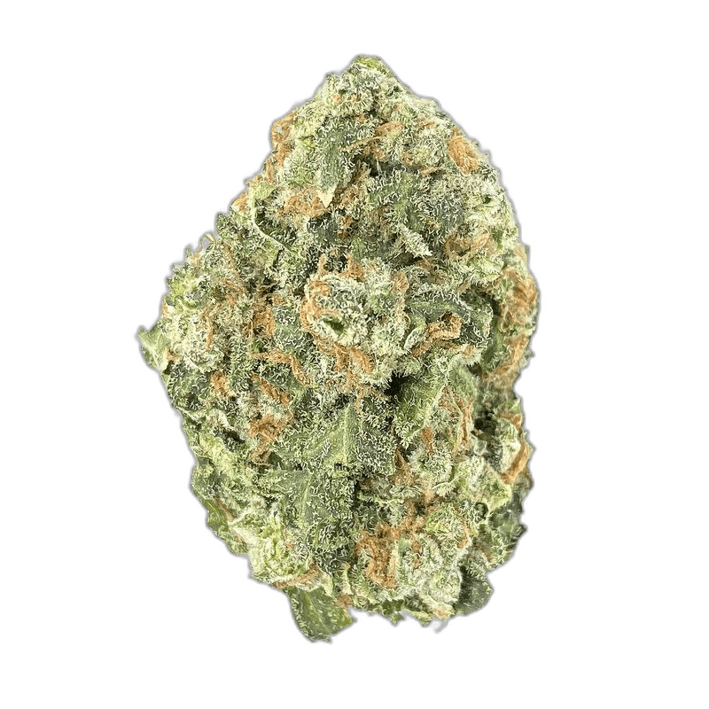 KAMIKAZI BRUCE BANNER 2COPY.JPG 3346