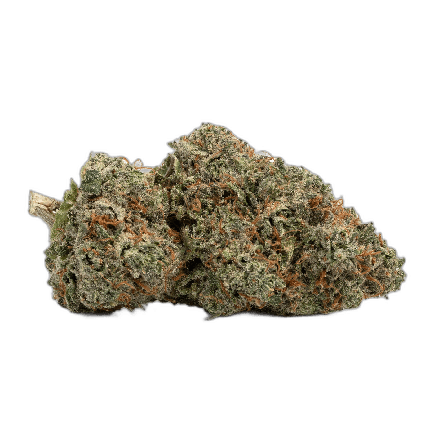 Tropicana Cookies