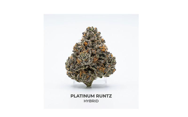 Hybrid Flower: A Complete Guide to Balanced Cannabis