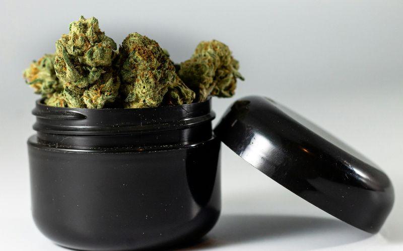 Types of Cannabis Products: A Complete Buyer's Guide