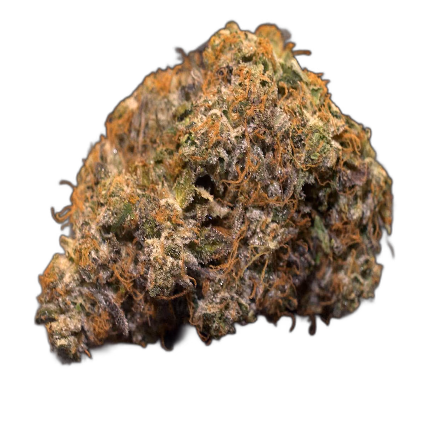 LA Confidential Strain Review: A Look at the LA Kush