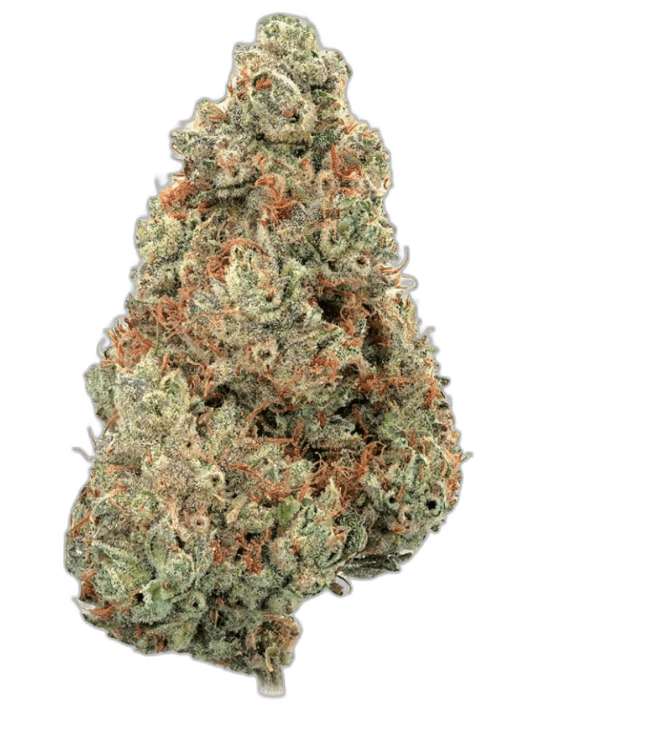 Swazi Gold Marijuana Strain Review: African Landrace