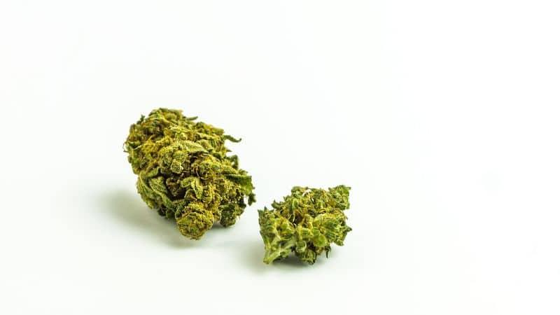 Master Kush low