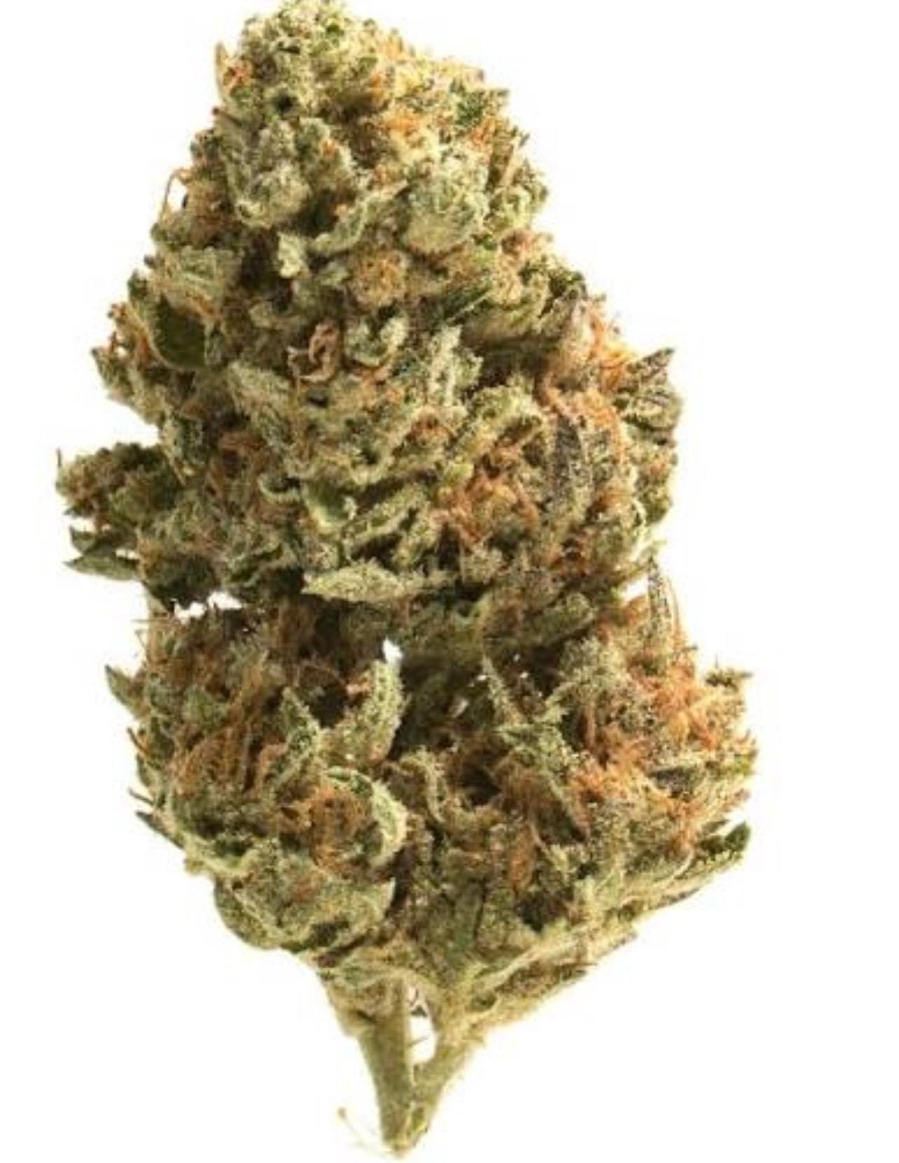Cactus Jack