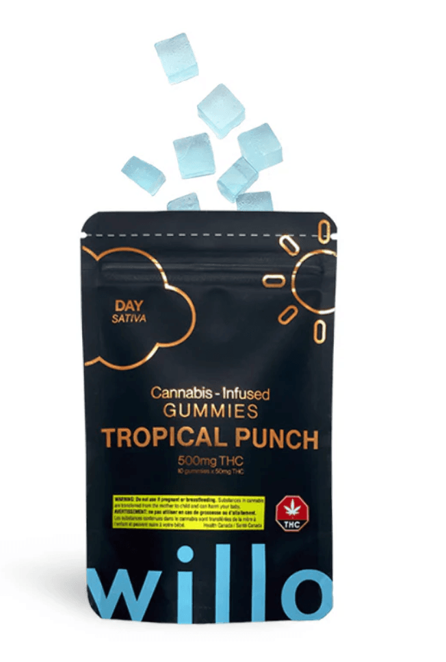 Willo 500mg THC Gummies – Tropical Punch