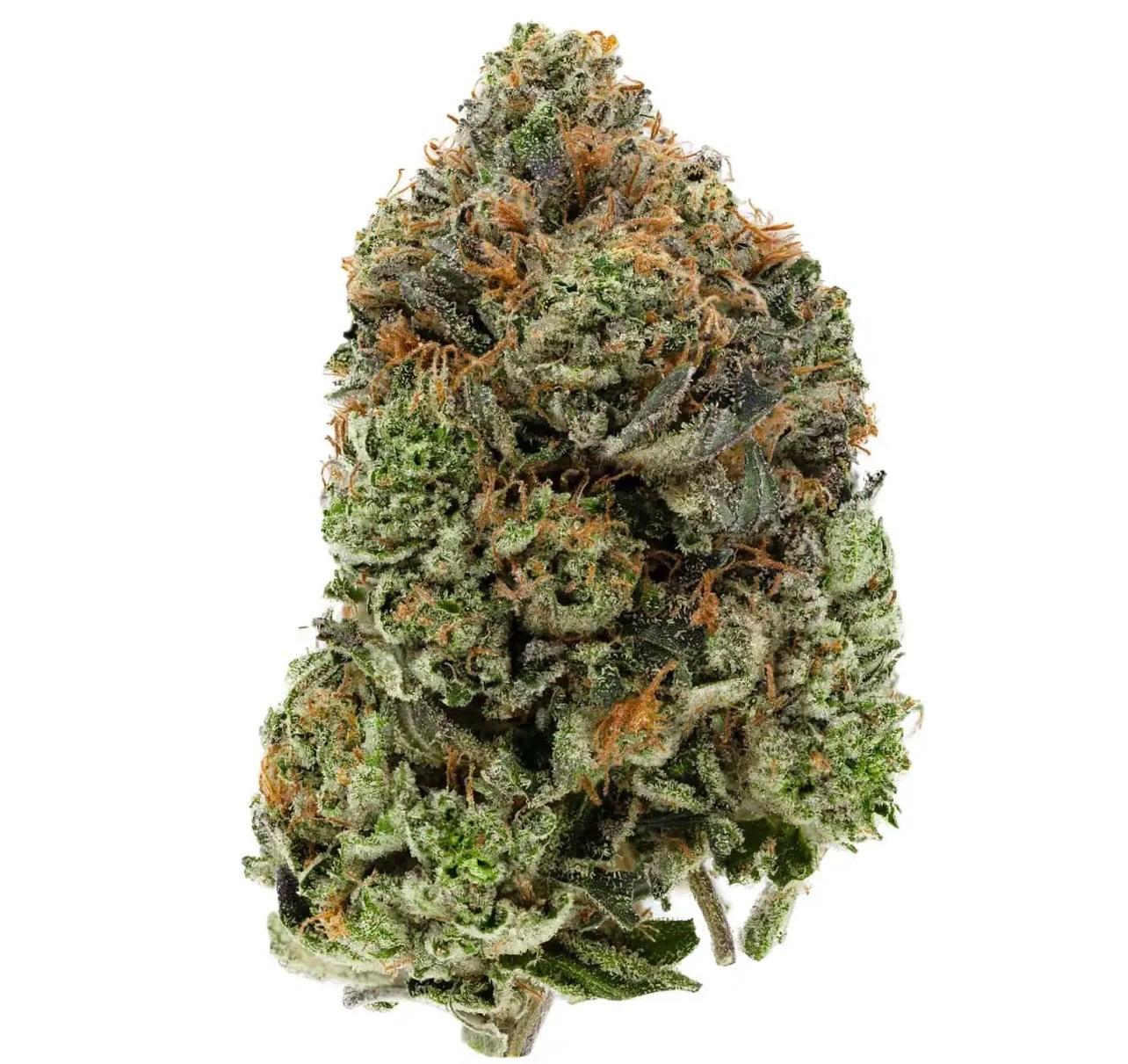 Gasmask Bubba