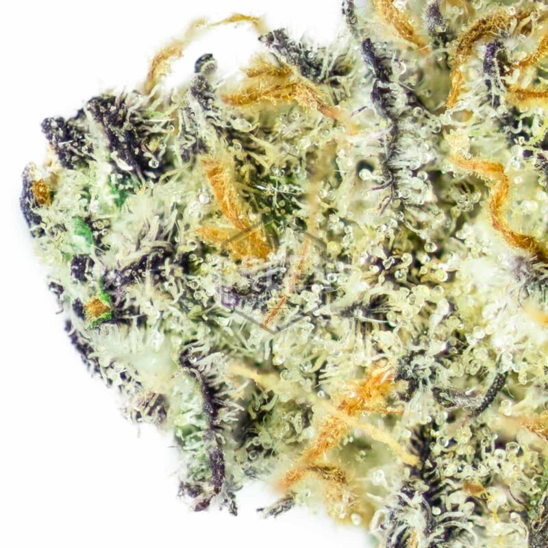 Weed Delivery GasDank | Toronto's Best Online Dispensary