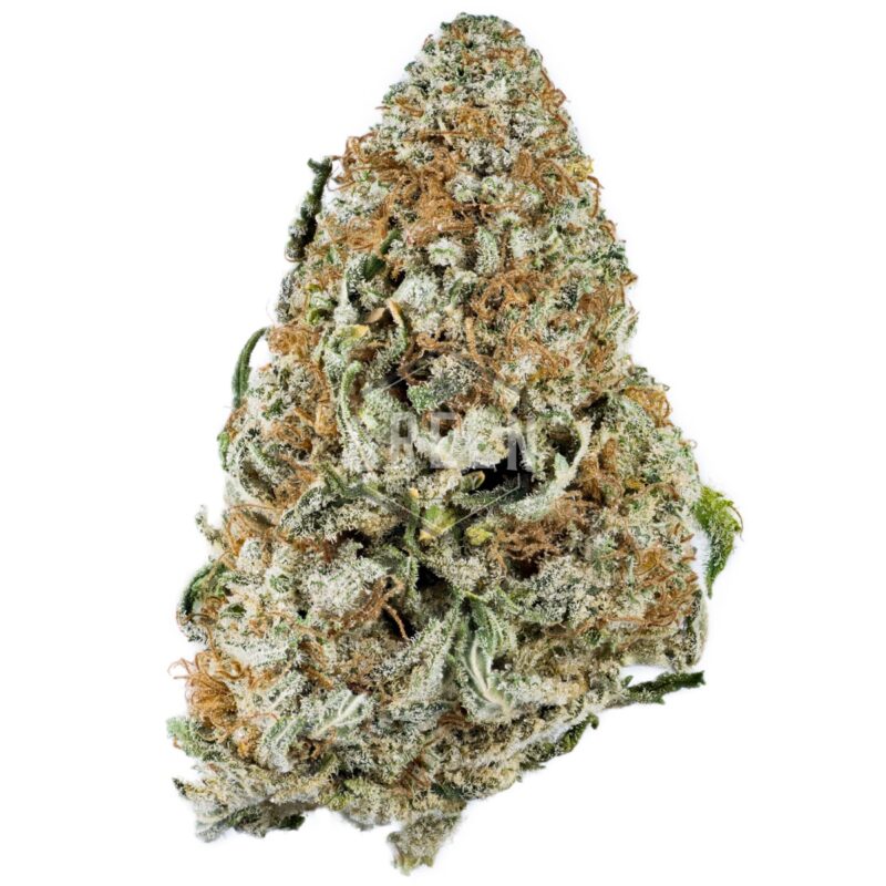 Rockstar-Master-Kush - Weed Delivery GasDank | Toronto's Best Online ...