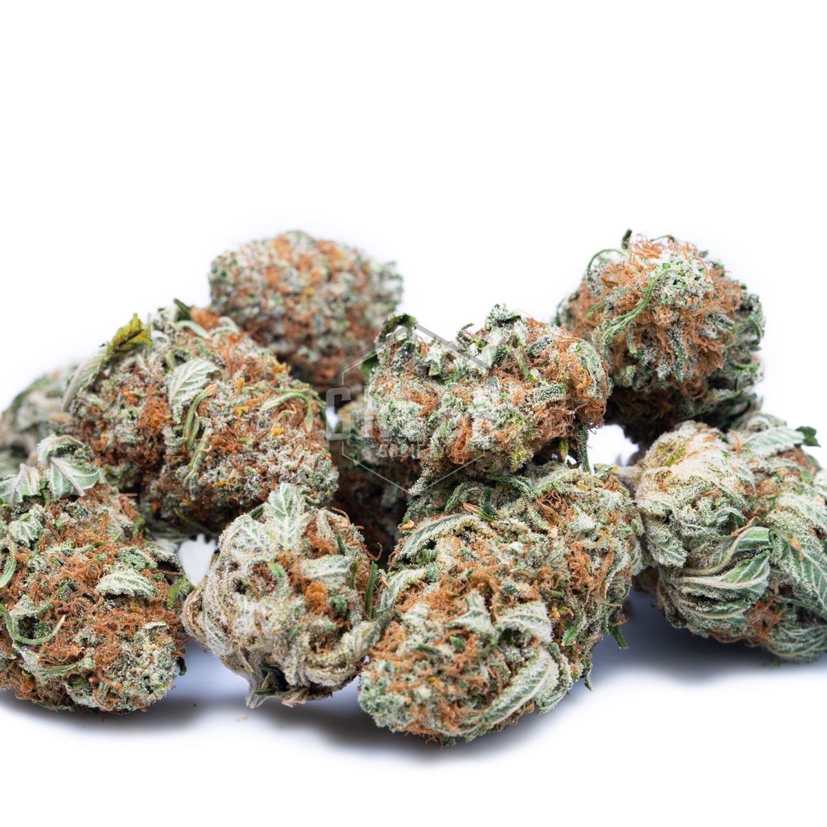 Rockstar-Master-Kush-Buds - Weed Delivery GasDank | Toronto's Best ...