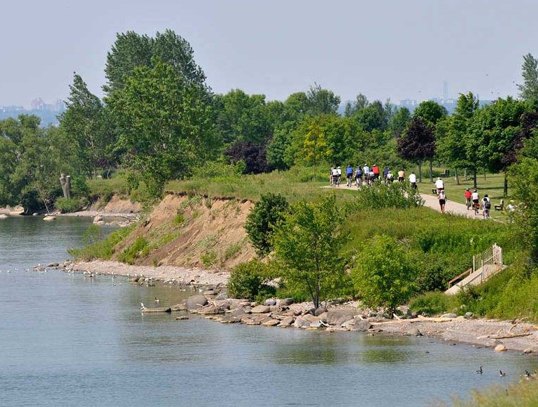 Livraison de mauvaises herbes Ajax