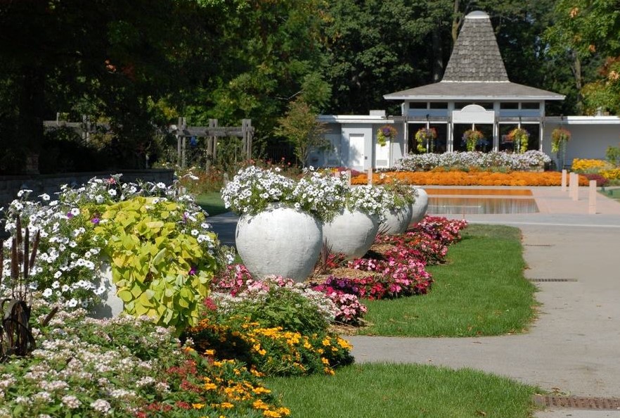 Livraison de mauvaises herbes à Burlington