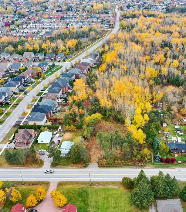 Clarington 1 - Meilleure livraison de mauvaises herbes le jour même à Clarington