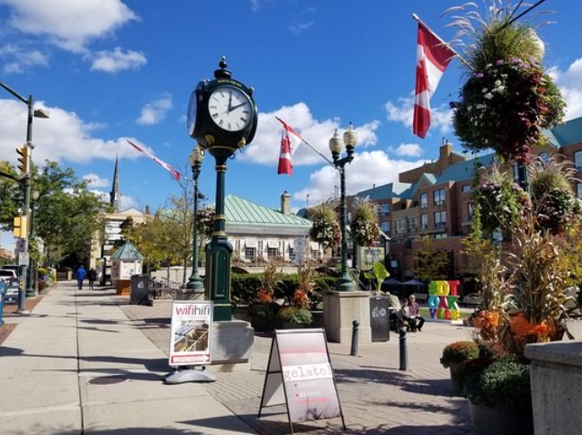 Livraison de mauvaises herbes à Oakville