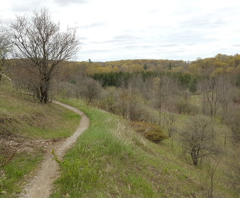 Uxbridge 3 - Meilleure livraison de mauvaises herbes le jour même à Uxbridge