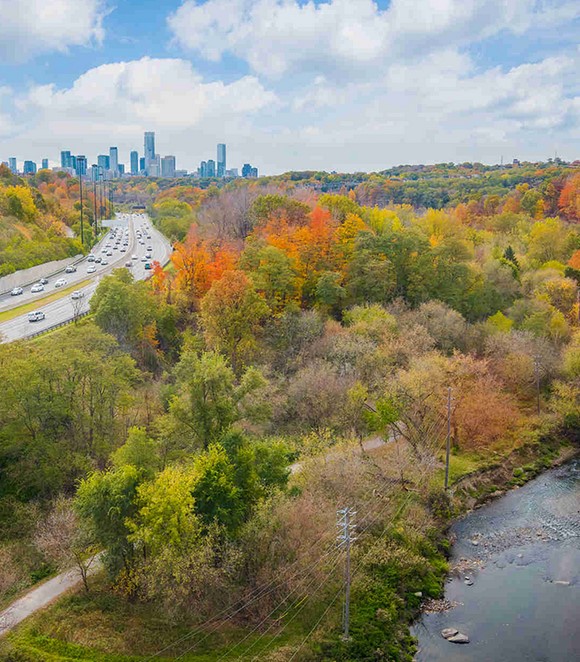 York 2 - Meilleure livraison de mauvaises herbes à North York le jour même à North York