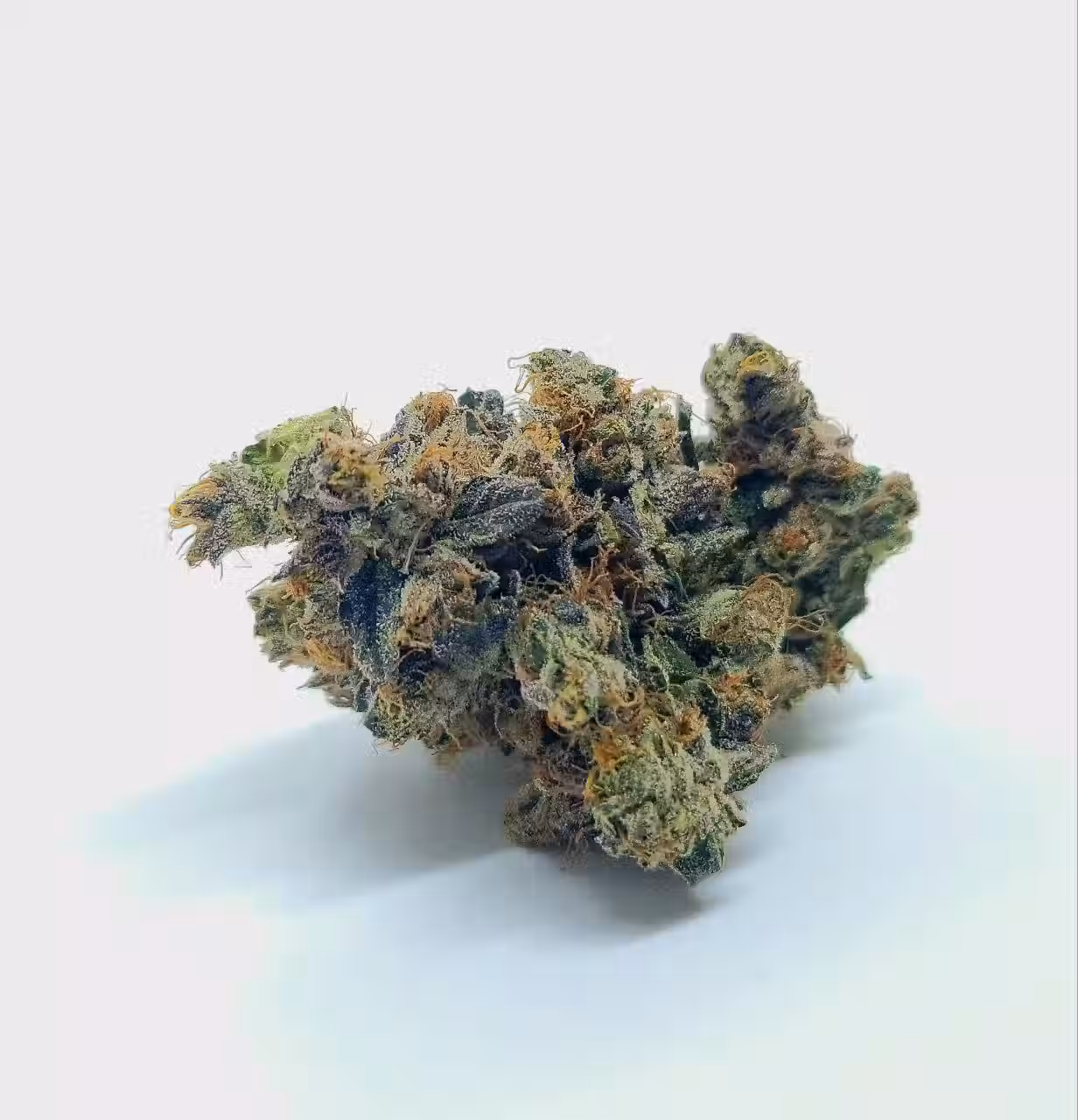 bordello   super criticalrudeboi OG