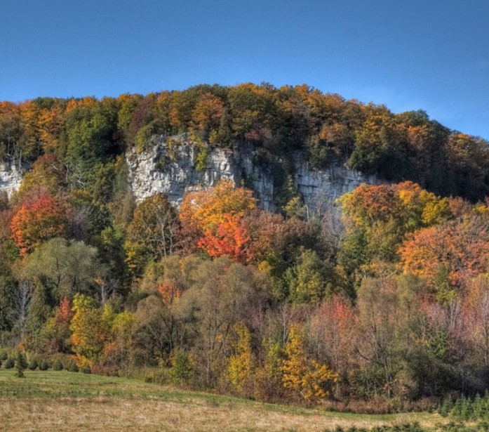 halton hills 4 - Meilleure livraison de mauvaises herbes le jour même à Halton Hills