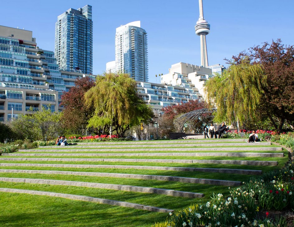 livraison de cannabis à Toronto Vaughan weed delivery 3 - Meilleure livraison de cannabis le jour même à Toronto