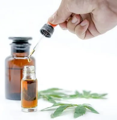 Best CBD Oil Brands for Pain Relief