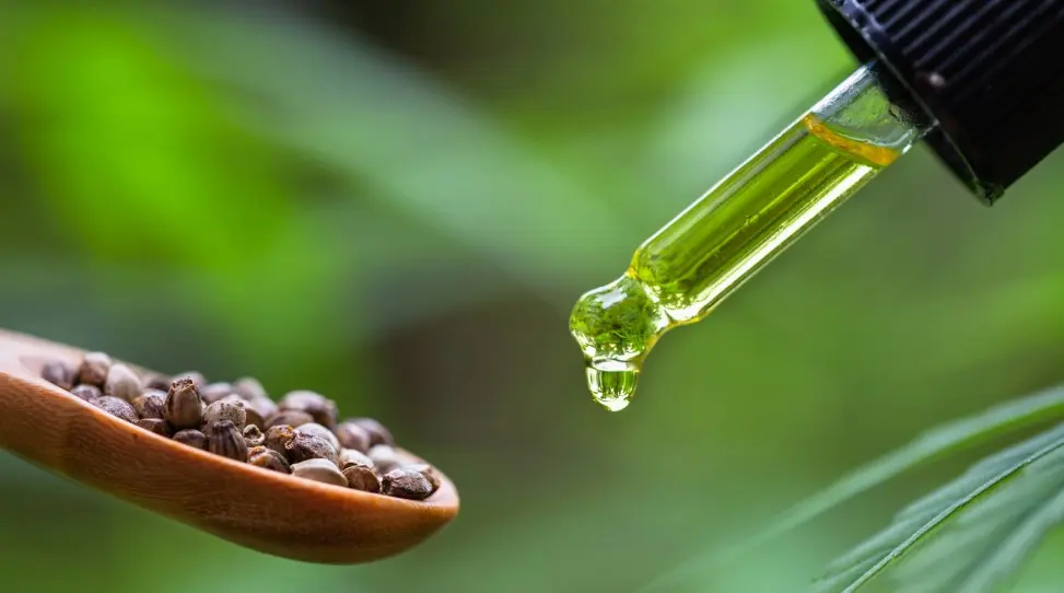 CBD Oil Ingredients - CBD Oil Ingredients: What You Need to Know